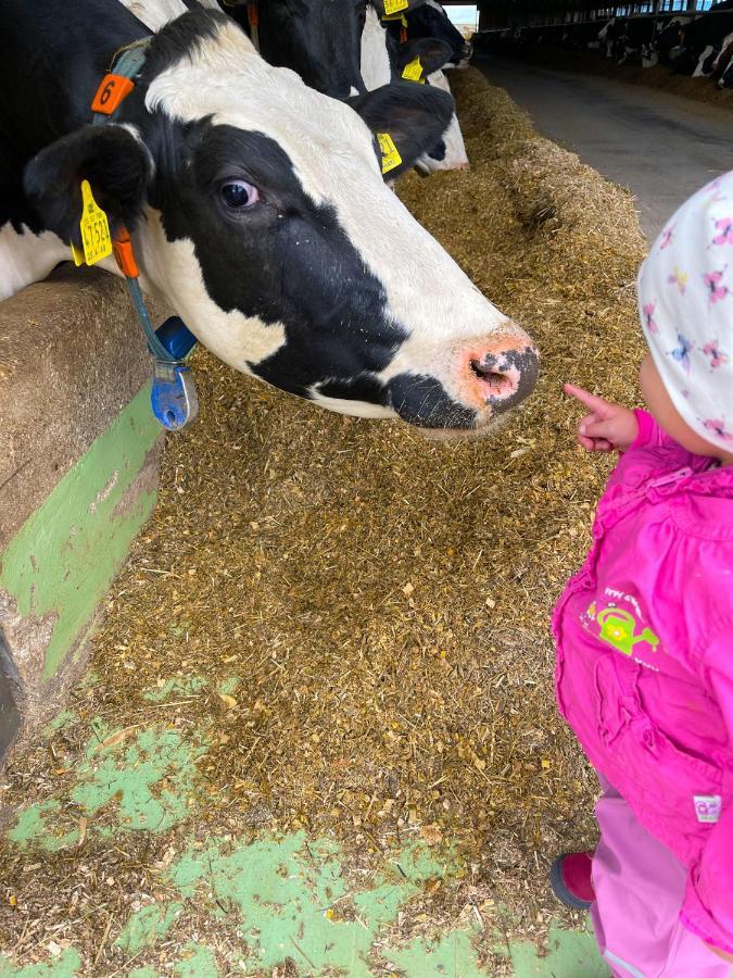 Ferienwohnung Apolo Münstermaifeld Eksteriør bilde
